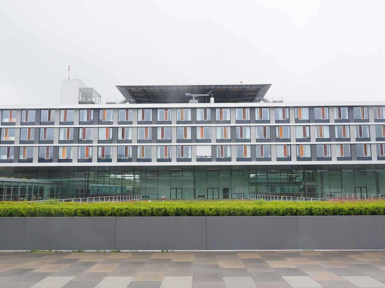 Conclusion: Are Luxury Hair Transplant Clinics Worth It?