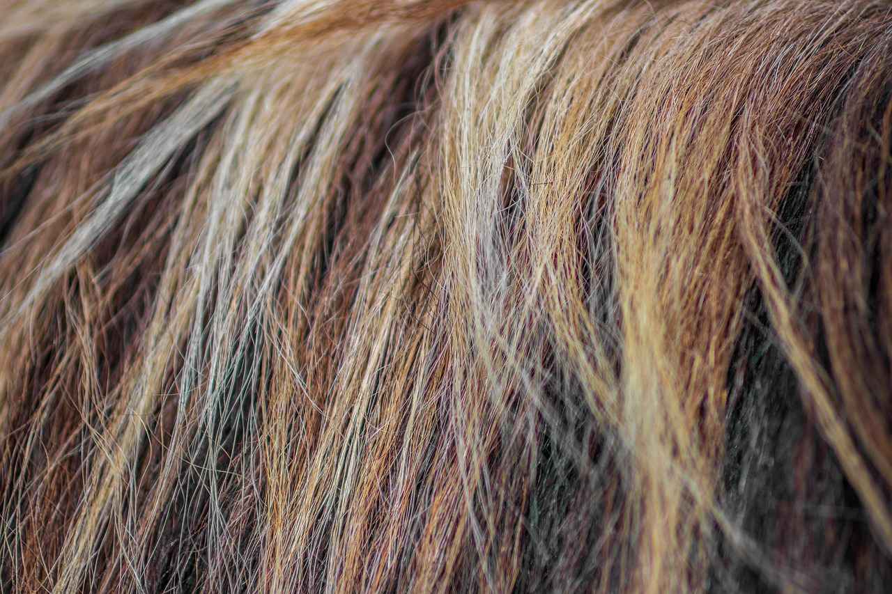 Overview of Smile Hair Clinic