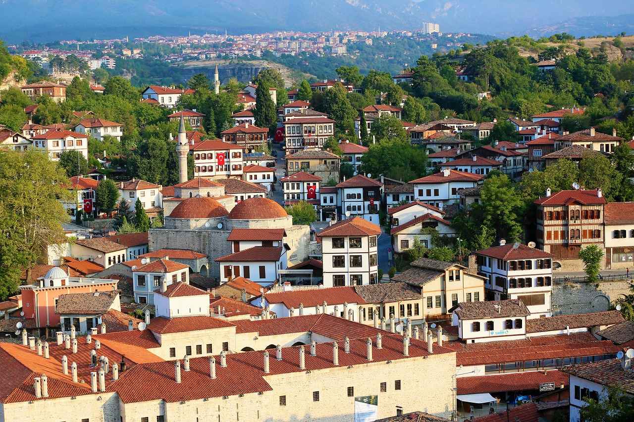 Cost of Hair Transplants in Turkey