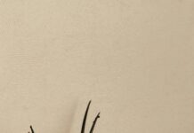 The Science Behind Hair Restoration Explained: Secrets Revealed