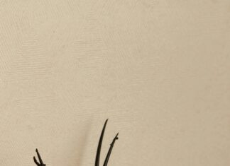 The Science Behind Hair Restoration Explained: Secrets Revealed