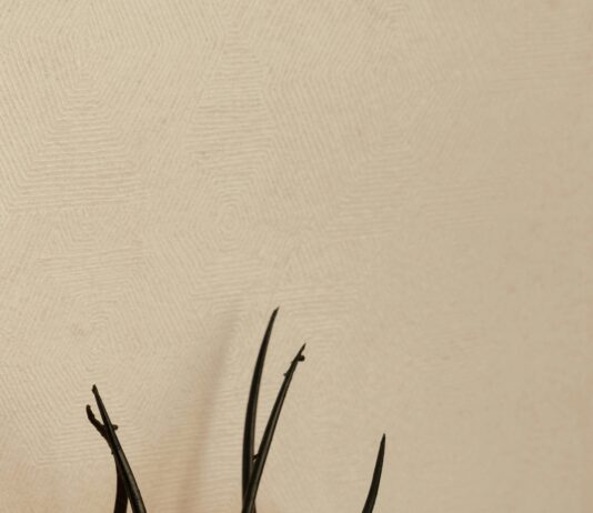 Do All Hair Clinics Offer Scalp Micropigmentation? Discover Now!