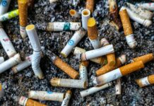 Risks Of Overharvesting In Donor Areas: What You Need To Know