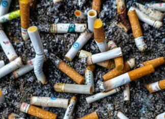 Risks Of Overharvesting In Donor Areas: What You Need To Know