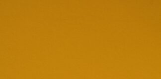 What Happens If Grafts Don’t Take? Essential Facts Revealed