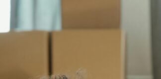 Is It Safe To Color Transplanted Hair? Expert Tips Revealed