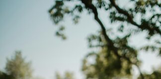 Top Countries For Affordable Hair Transplants: Where To Go Now?