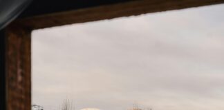 Post-Transplant Stress Management Tips: Effective Ways To Stay Calm