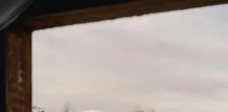 Post-Transplant Stress Management Tips: Effective Ways To Stay Calm