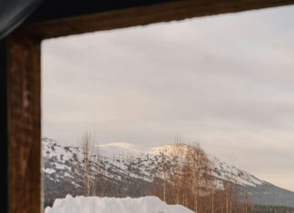 Post-Transplant Stress Management Tips: Effective Ways To Stay Calm