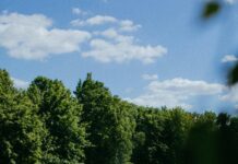 What Makes a Good Candidate for Hair Transplant Surgery? Discover!