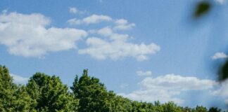 What Makes a Good Candidate for Hair Transplant Surgery? Discover!