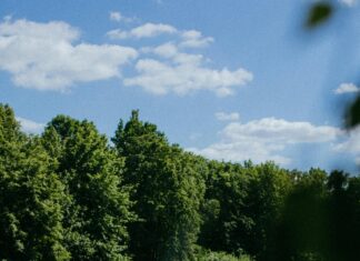 What Makes a Good Candidate for Hair Transplant Surgery? Discover!