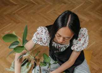 Common Hair Transplant Myths Debunked: Truths You Must Know